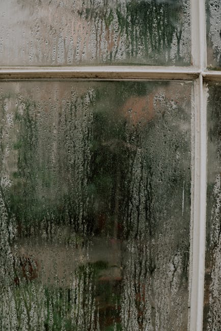 Kondensatas ant lango ir tamsios pelėsio dėmės kampuose