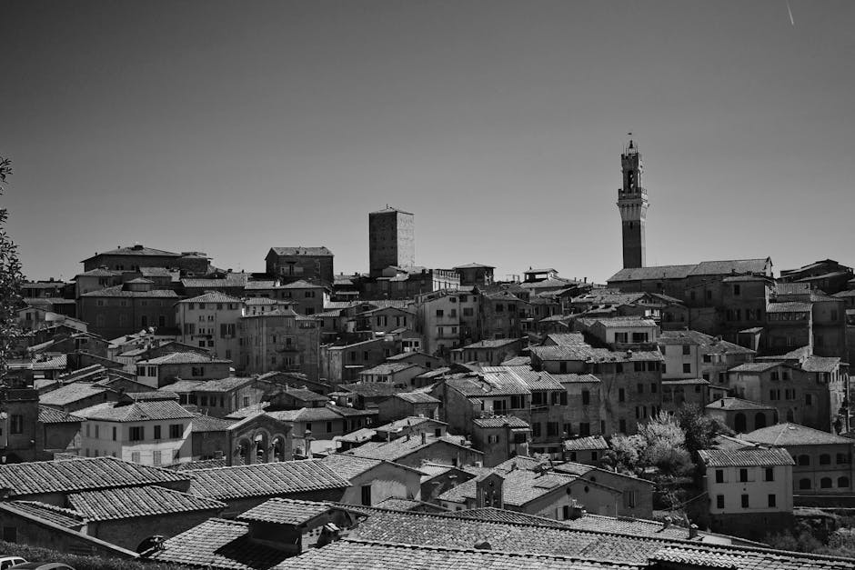 Tvarkingas interjeras su išnaudotomis sienų nišomis ir kampinėmis lentynomis, iliustruojantis „Geriausios namų sandėliavimo idėjos…“