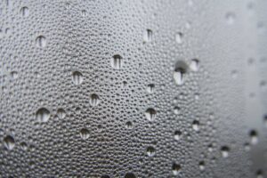 Drėgmės problemos namuose: kondensatas ant lango ir pelėsių požymiai, pateikiami patikimi sprendimai