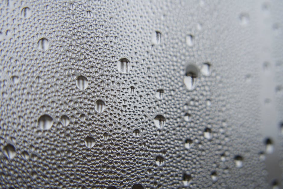 Drėgmės problemos namuose: kondensatas ant lango ir pelėsių požymiai, pateikiami patikimi sprendimai