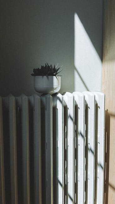 Šilta, jauki svetainė su tvarkingais šildymo radiatoriais ir maloniu apšvietimu komfortui